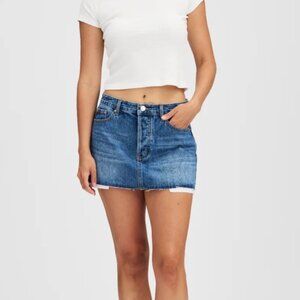 NWOT Pake Denim Mini Skirt (25)